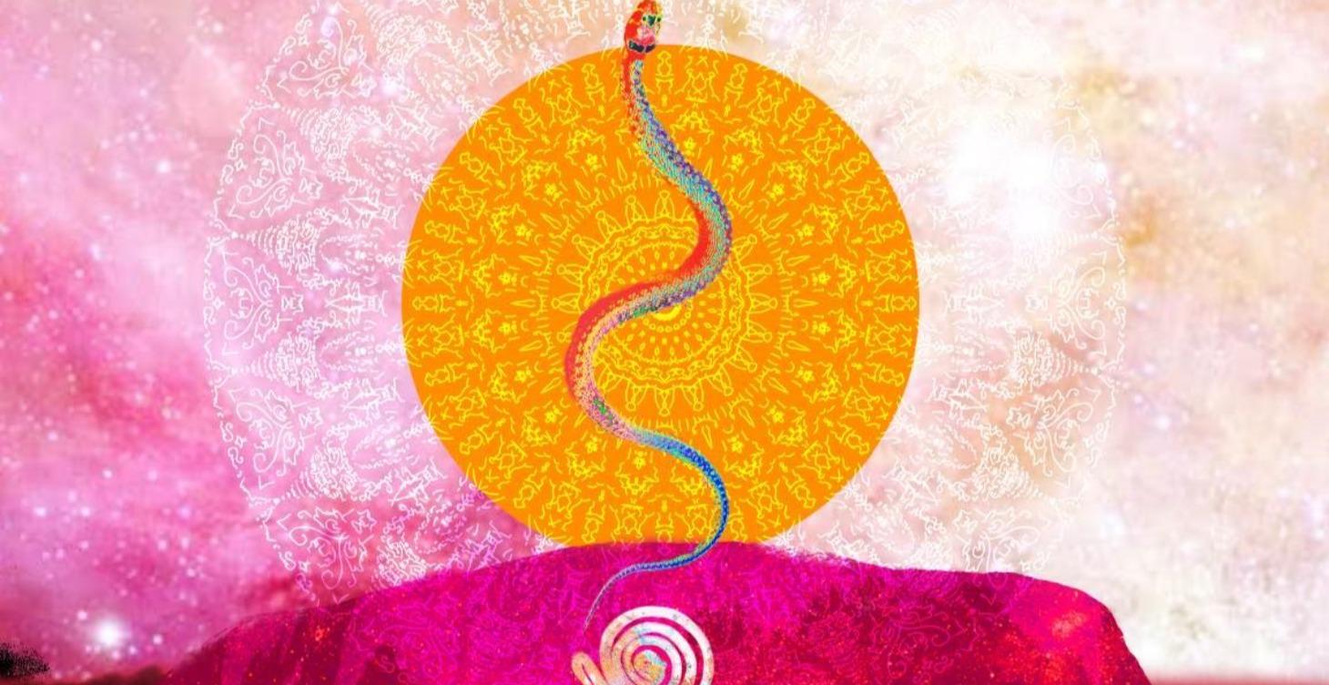Womb Trauma &the Core wounds of the feminine