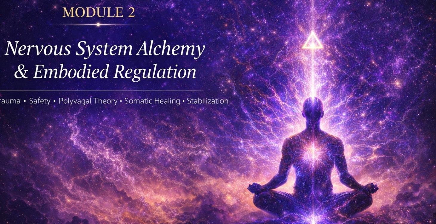 Mod 2 Nervous System Alchemy & Embodied Regulation