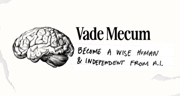 Vade Mecum: Guide to Life