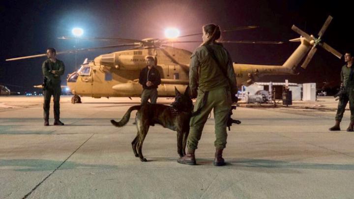 ח בוגרת עוקץ