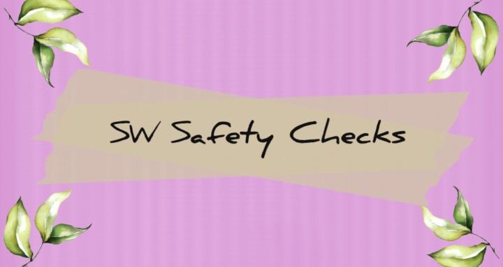 SW Safety Checks