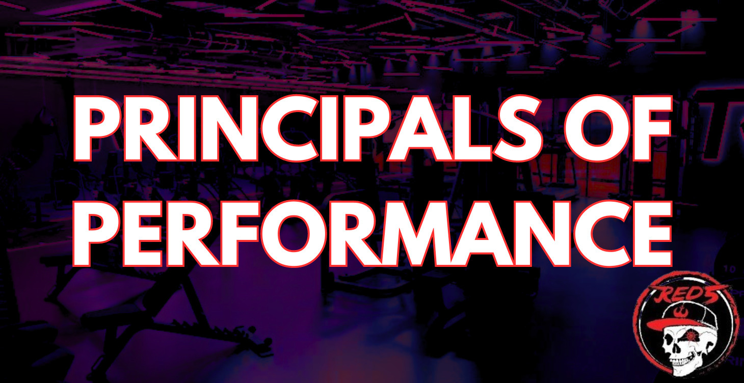 PRINCIPALS OF PERFORMANCE