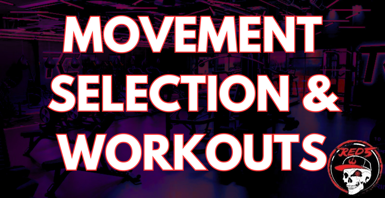 Movement Selection & Workouts