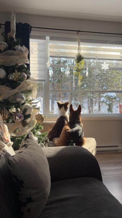 Marie-audrey Fafard poulin