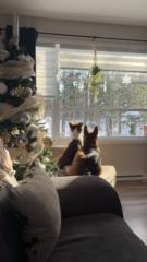 Marie-audrey Fafard poulin