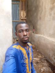 David Adedapo