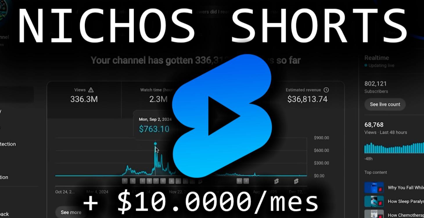 (PROXIMAMENTE) NICHOS SHORTS