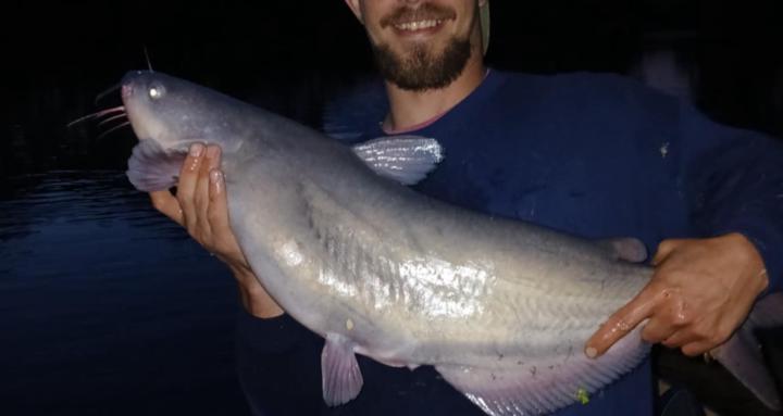 Weasels Kat fishing community