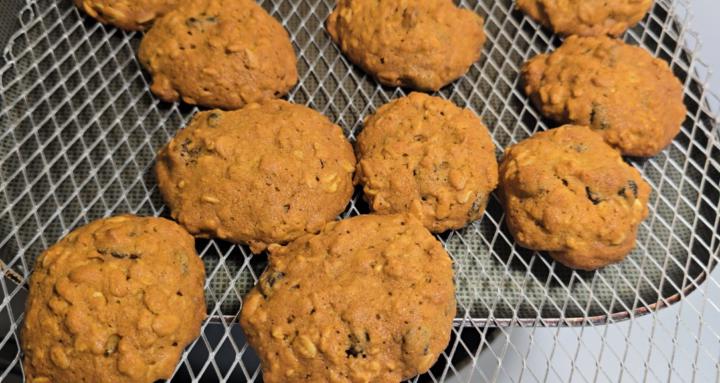 Nomad Treats & Friends