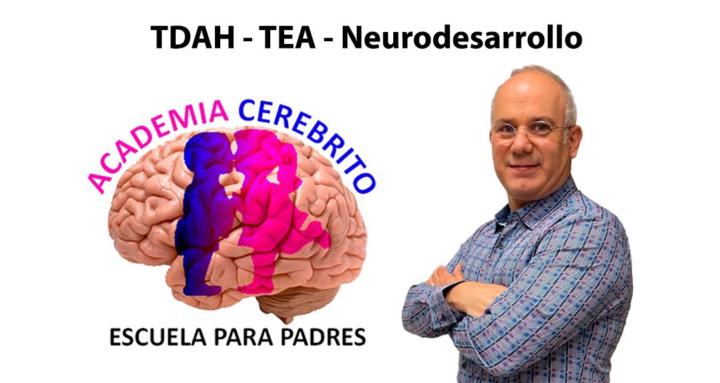 Academia Cerebrito - TDAH -TEA