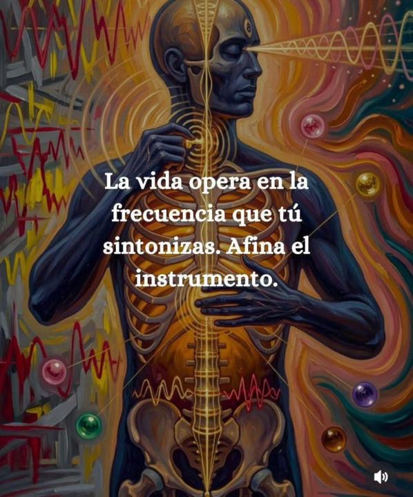 Elije tu frecuencia
