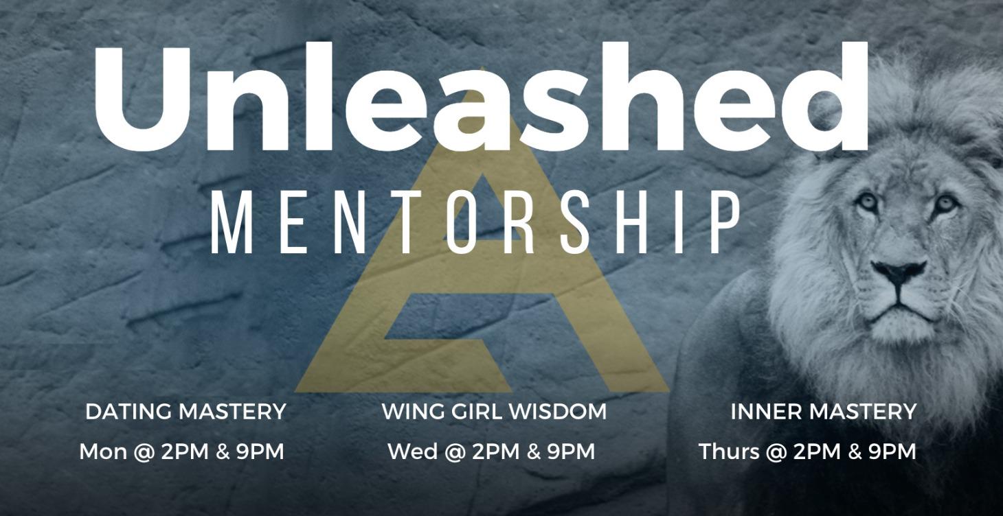 The Unleashed Mentorship