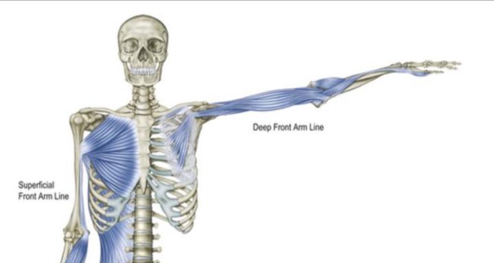 Hand and Arm Training Group