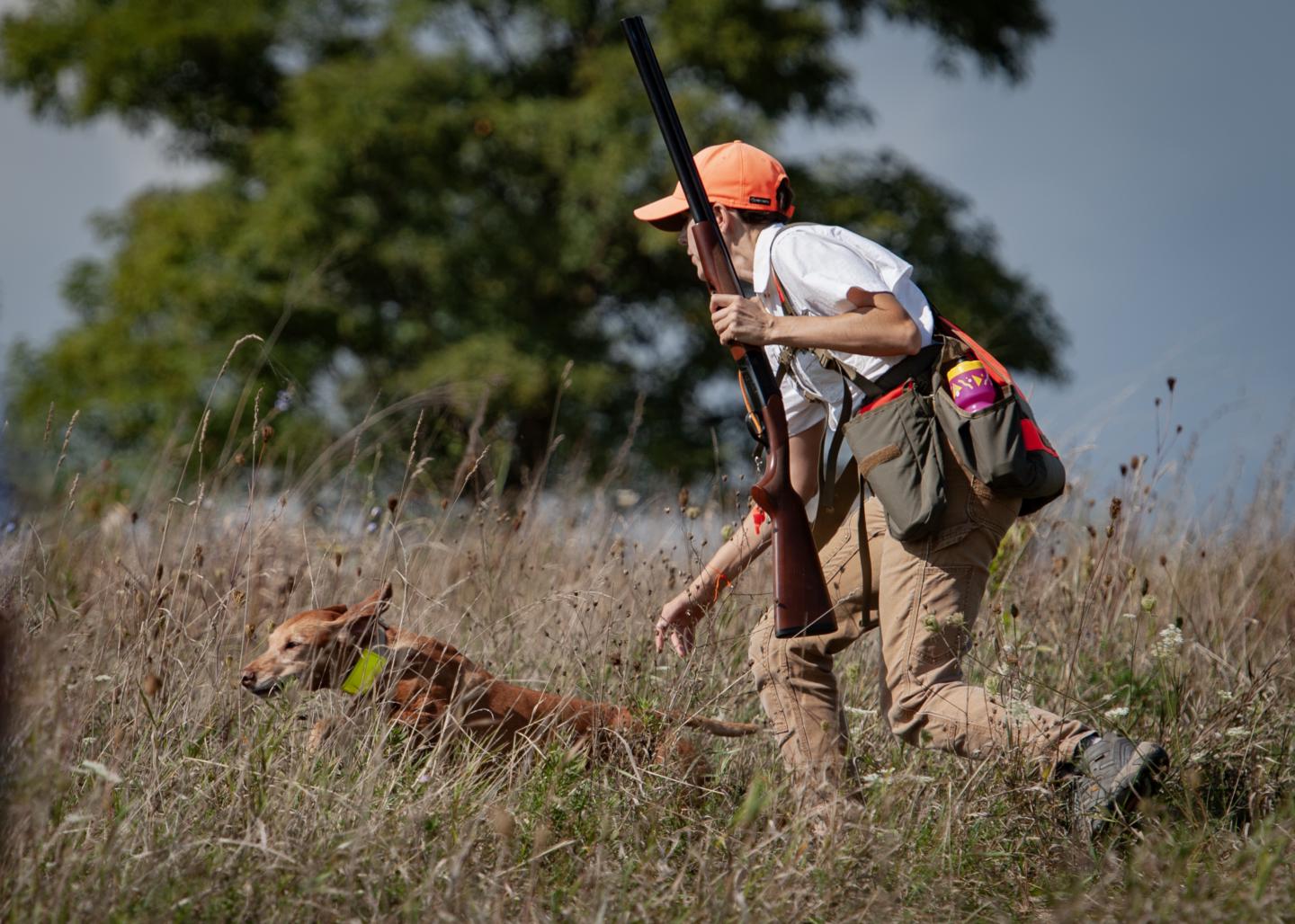 Bird Dog Training Community