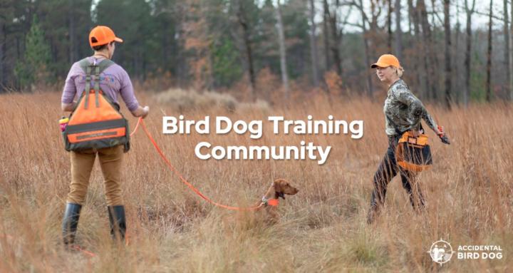 Bird Dog Training Community