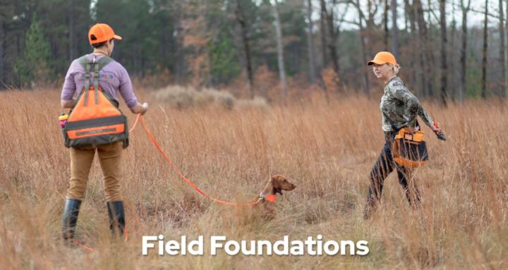 Field Foundations