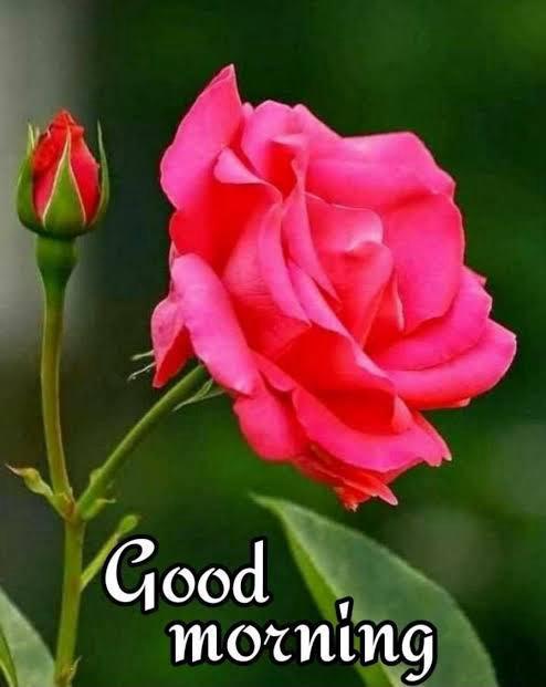 Parul Singh