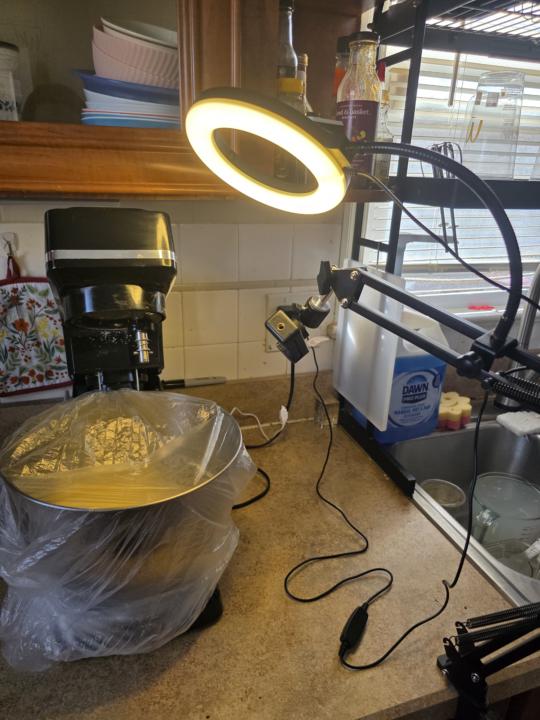 My light came! 