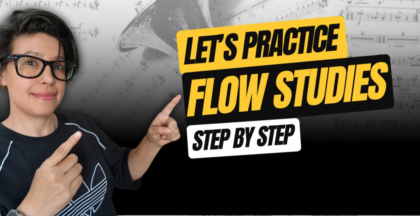 FLOW STUDIES