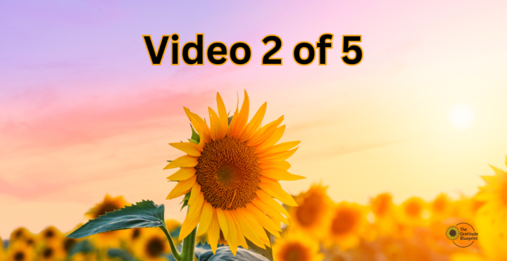 RMS on Demand: Video 2 of 5