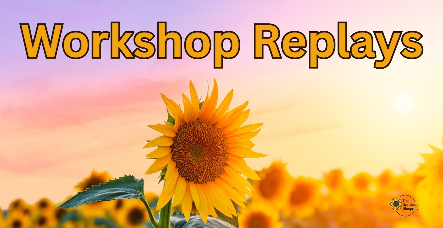 Workshop Replays