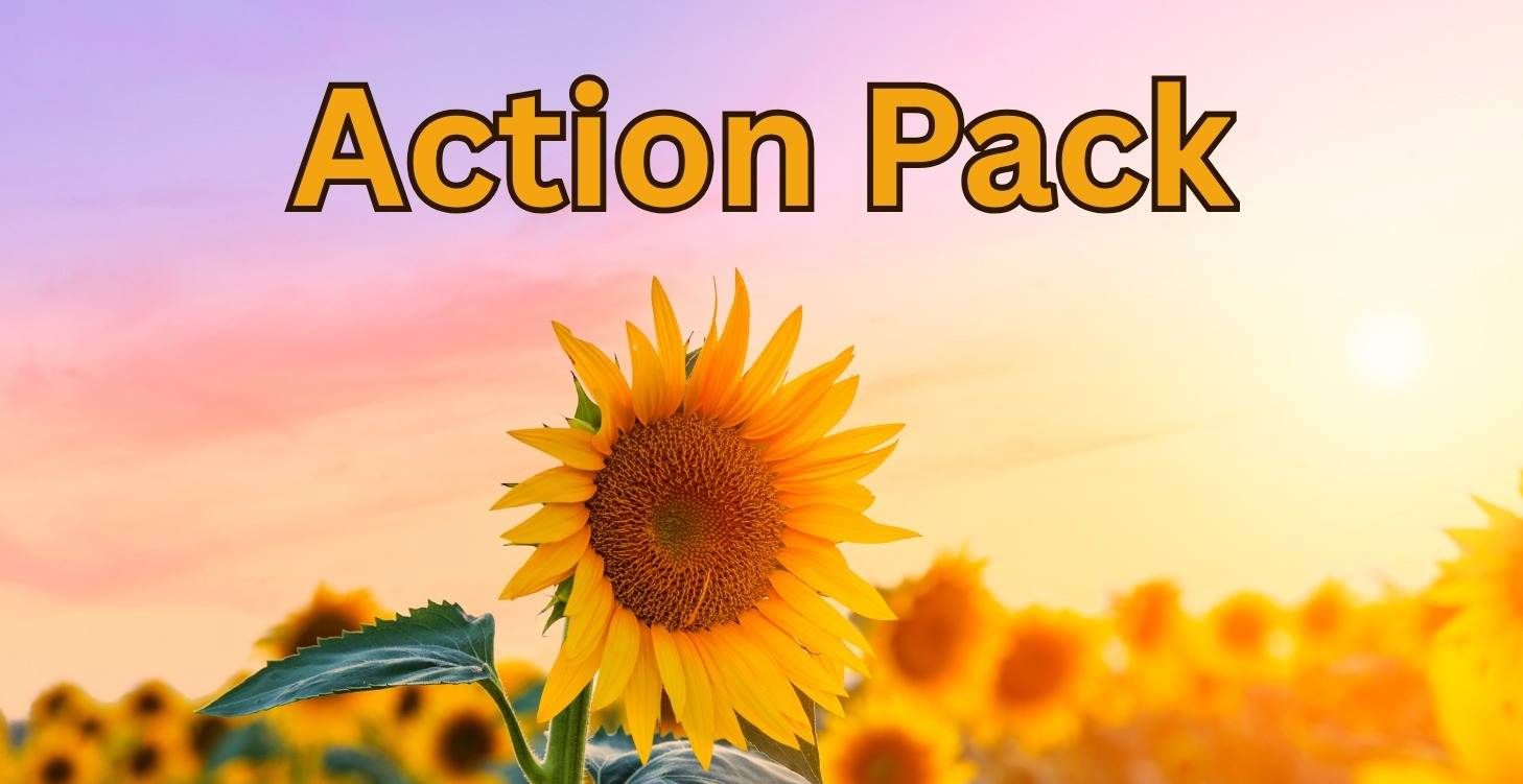 Action Pack