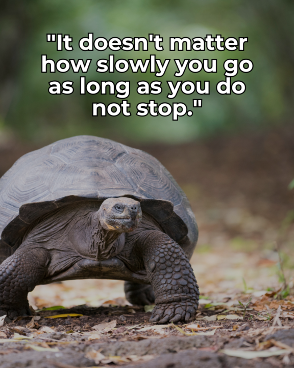 MONDAY MINDSET
