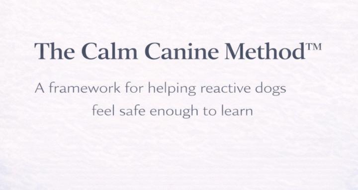 The Calm Canine Method