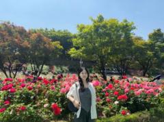 Tran Linh