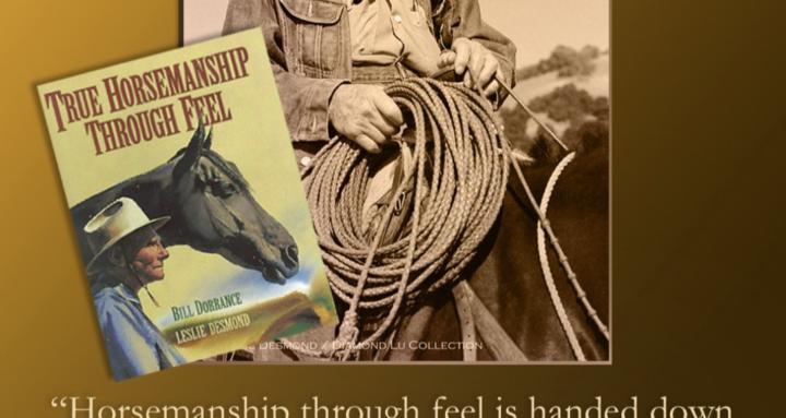 Outfitter, Gallery & Books