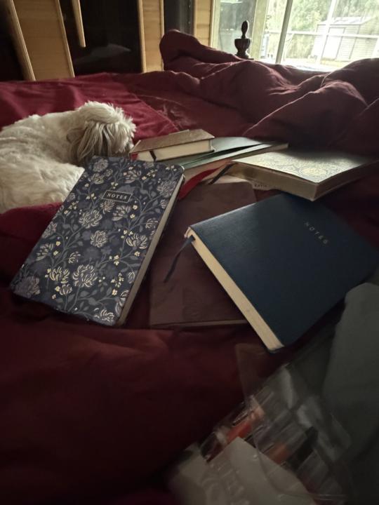 From Paper to Profit: My Journey with Lets Goal 💫