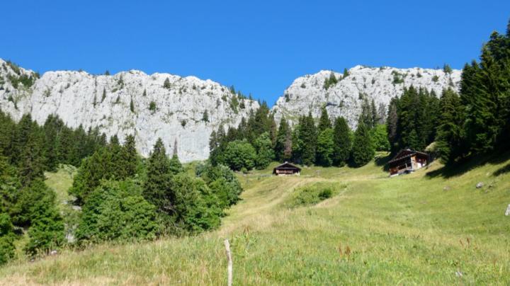 Arsène Debenham-Praz