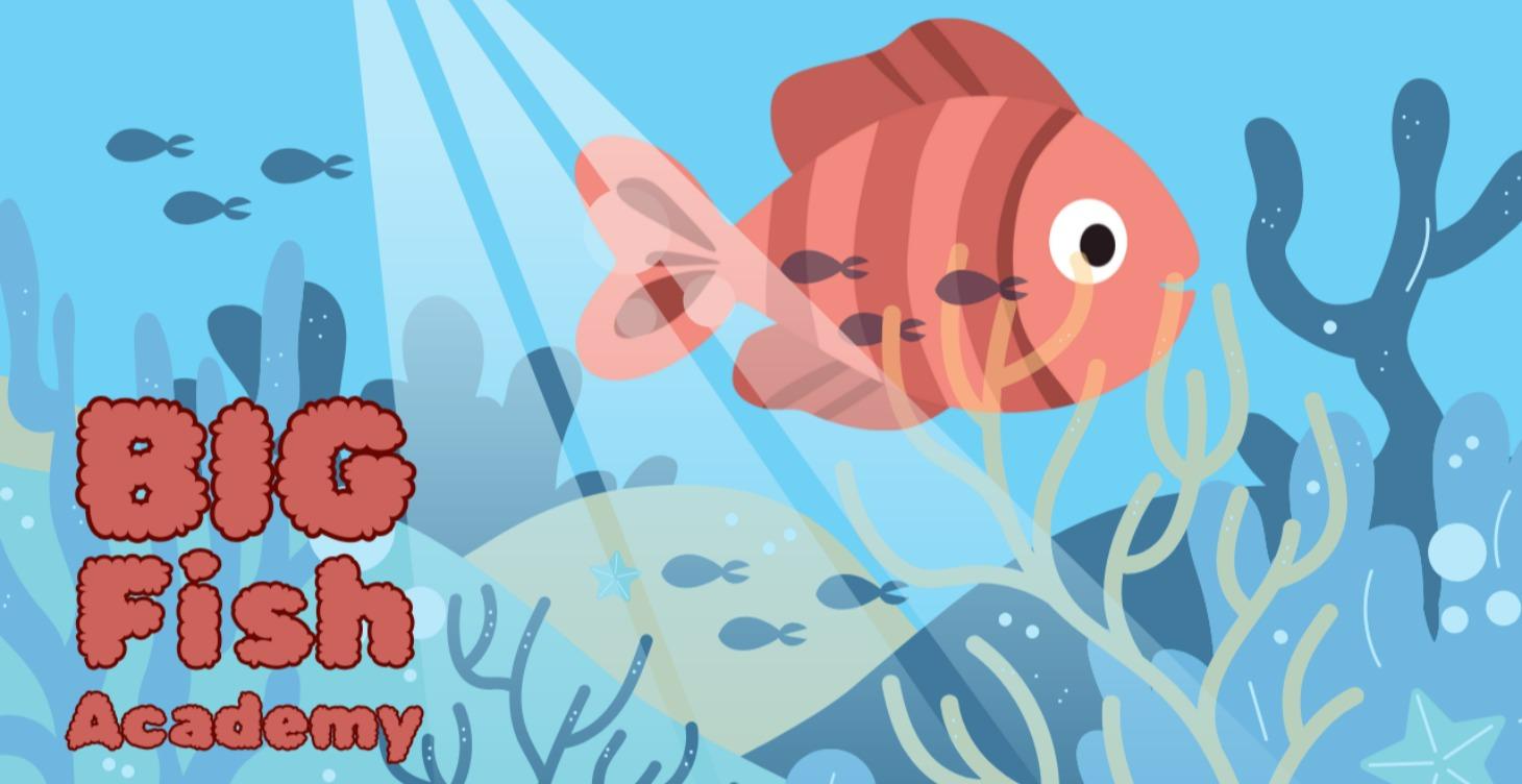 Big Fish Academy