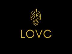 Lovc Light Over Chaos