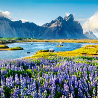 Eduardo ariel Coggiola