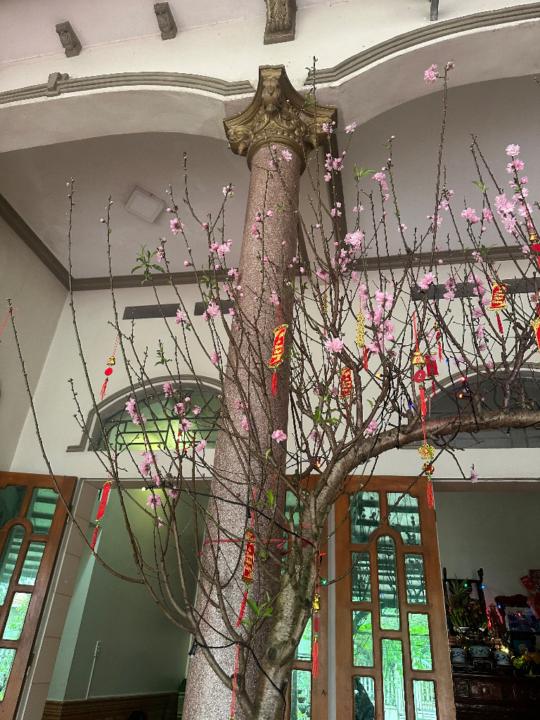 Hà Thùy Trang