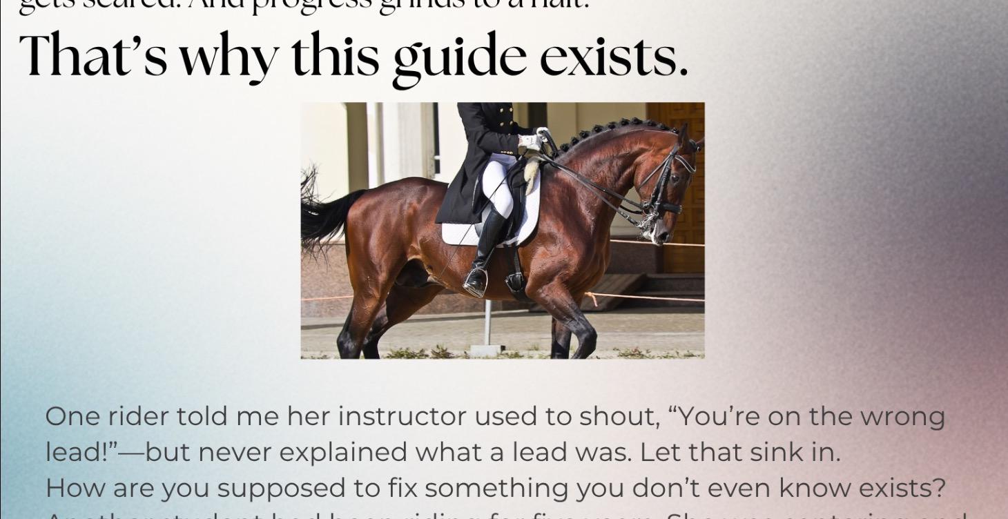 Self coaching for riders (on lesson horses)