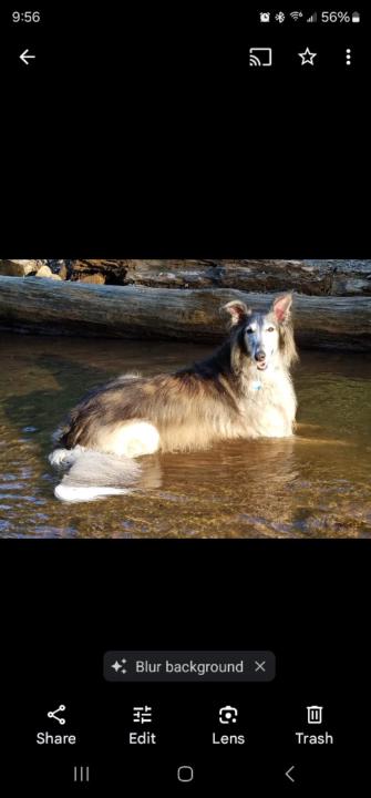 Annette Swensen
