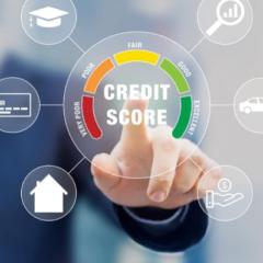 Paola Cabrera Robles