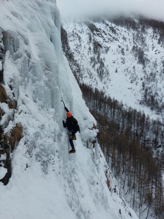 Francisco Javier Saura Esteban