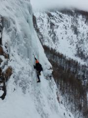 Francisco Javier Saura Esteban