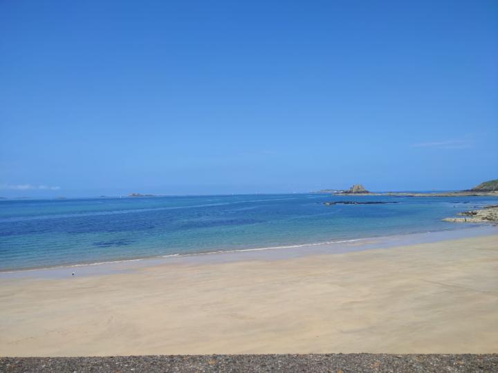 Alexandre Moreira Dias