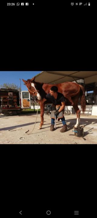 Felix García Jiménez Felix García Jiménez