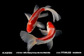 Koi Fish