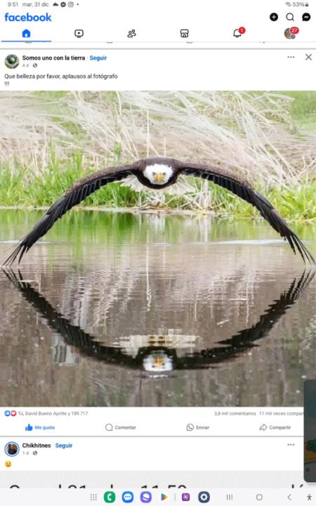 Samantha Cavalcanti caldas