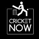 Logo <mark>Cricket</mark>Now