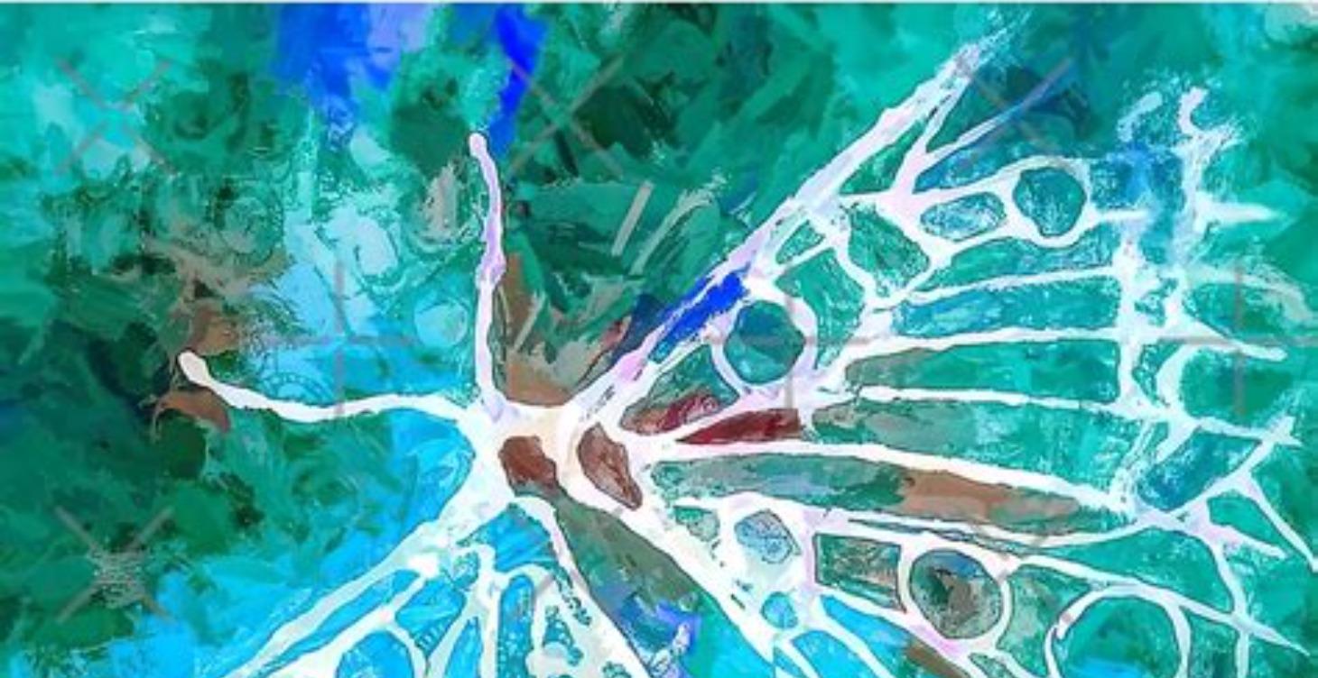 Friends and Family Support Resources