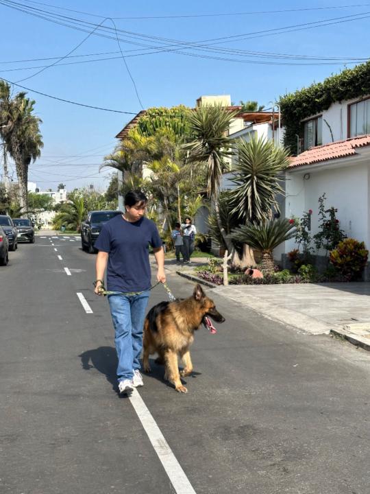Baruc Guzman Sanchez