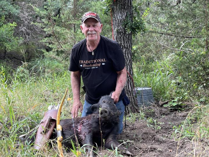 Pig down 