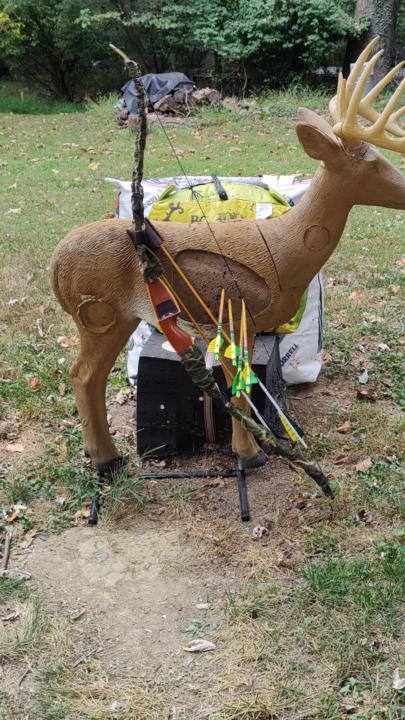 New Bow 